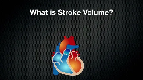 100 Things You Never Knew About stroke Volume stroke Volume