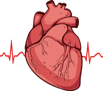 Heart Drawing: Easy Step-By-Step Tutorial You Never Seen Before Heart Drawing