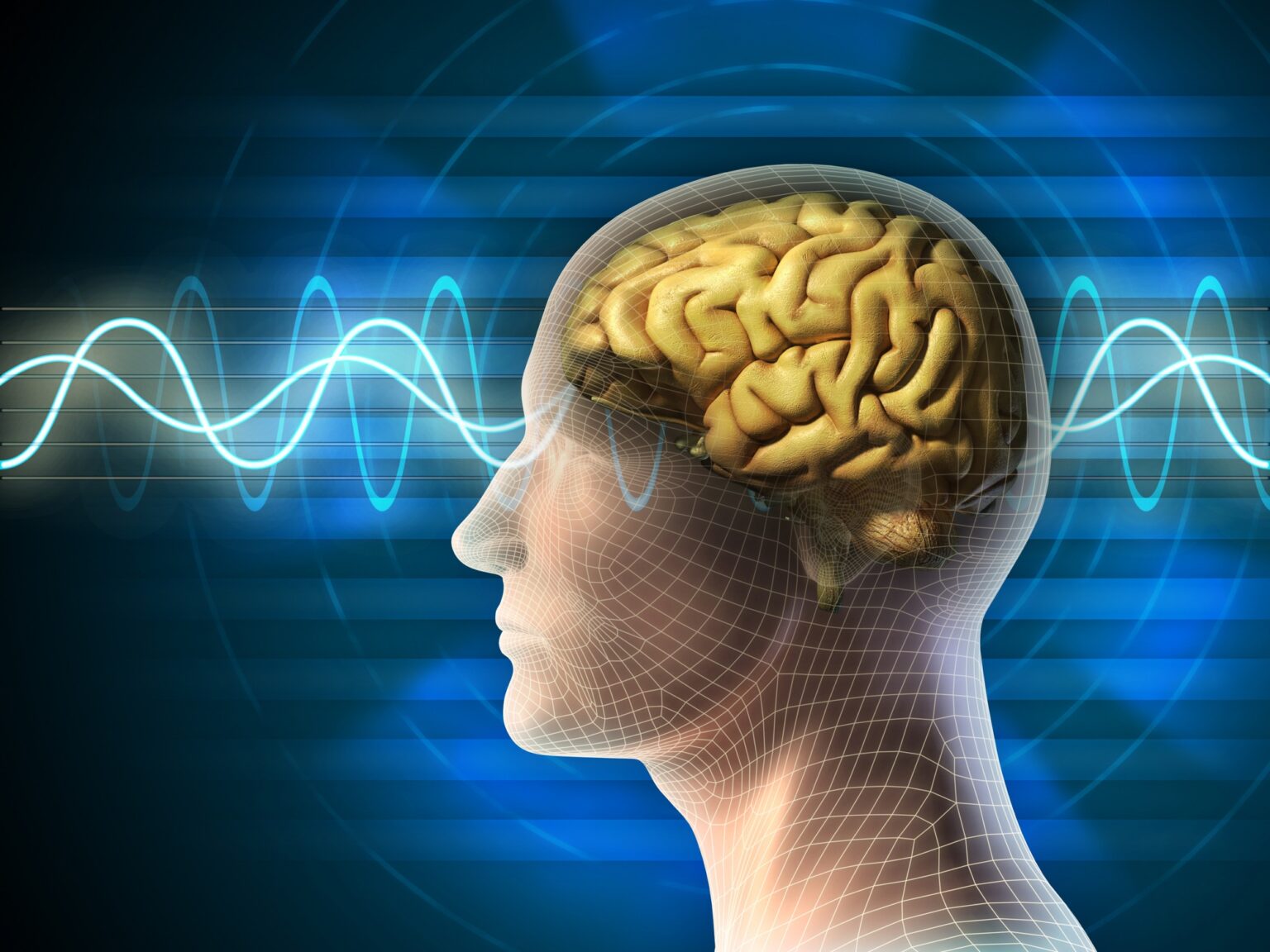 Xcel – The Answer to Your Inquisitive Mind