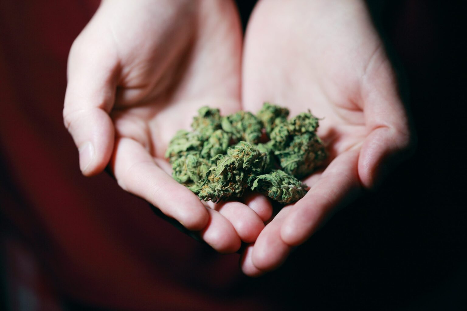 Health and Wellness Benefits of OG Kush Cannabis Strain