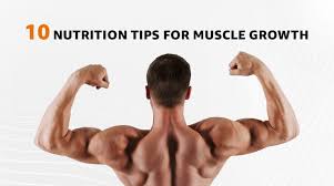 Nutritional Rules to Follow if You Want to Build Muscle Muscle