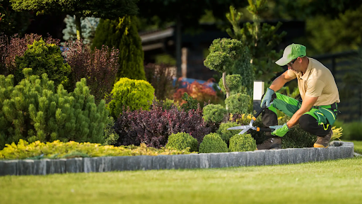 How Landscaping Services Can Transform Your Outdoor Living Space