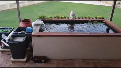 Advanced Filtration for Serious Koi Keepers