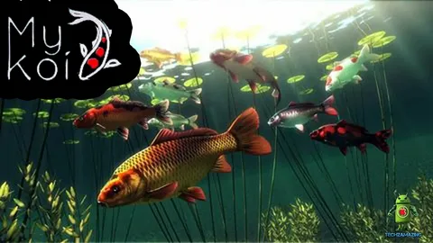 How to Analyze Patterns and Trends in Koi Toto