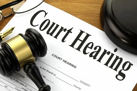 What Happens During an Individual Hearing in Immigration Court?